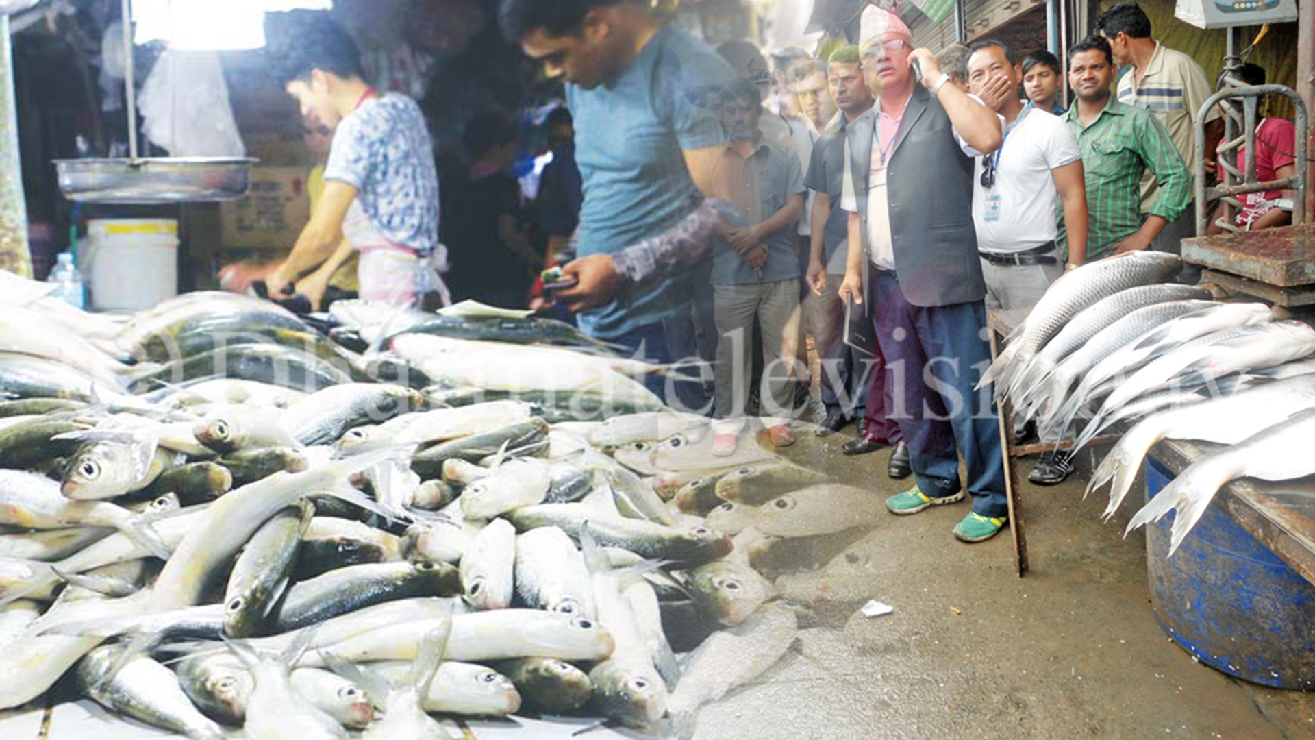 Fish Traders Run Away after Monitoring Team Arrived at Kalimati to Inspect Shops