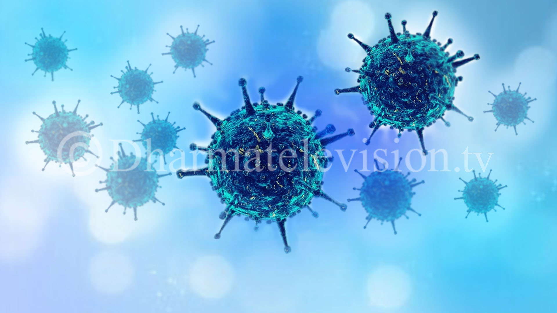 काठमाडौं उपत्यका लगायत २०4 जनामा ​​कोरोना भाइरस संक्रमण