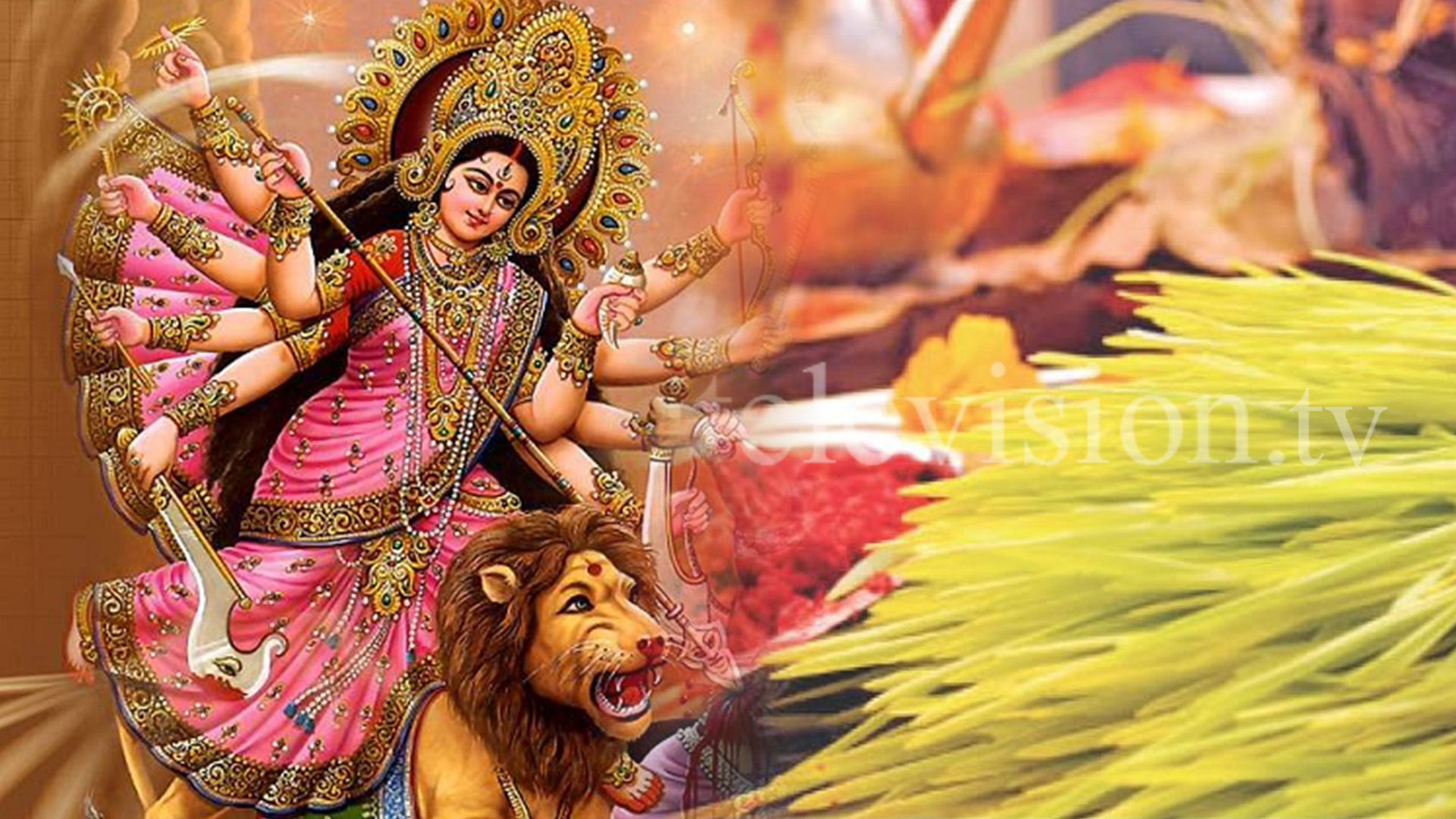 Mahanavami celebrated worshiping and adoring Durga Bhawani