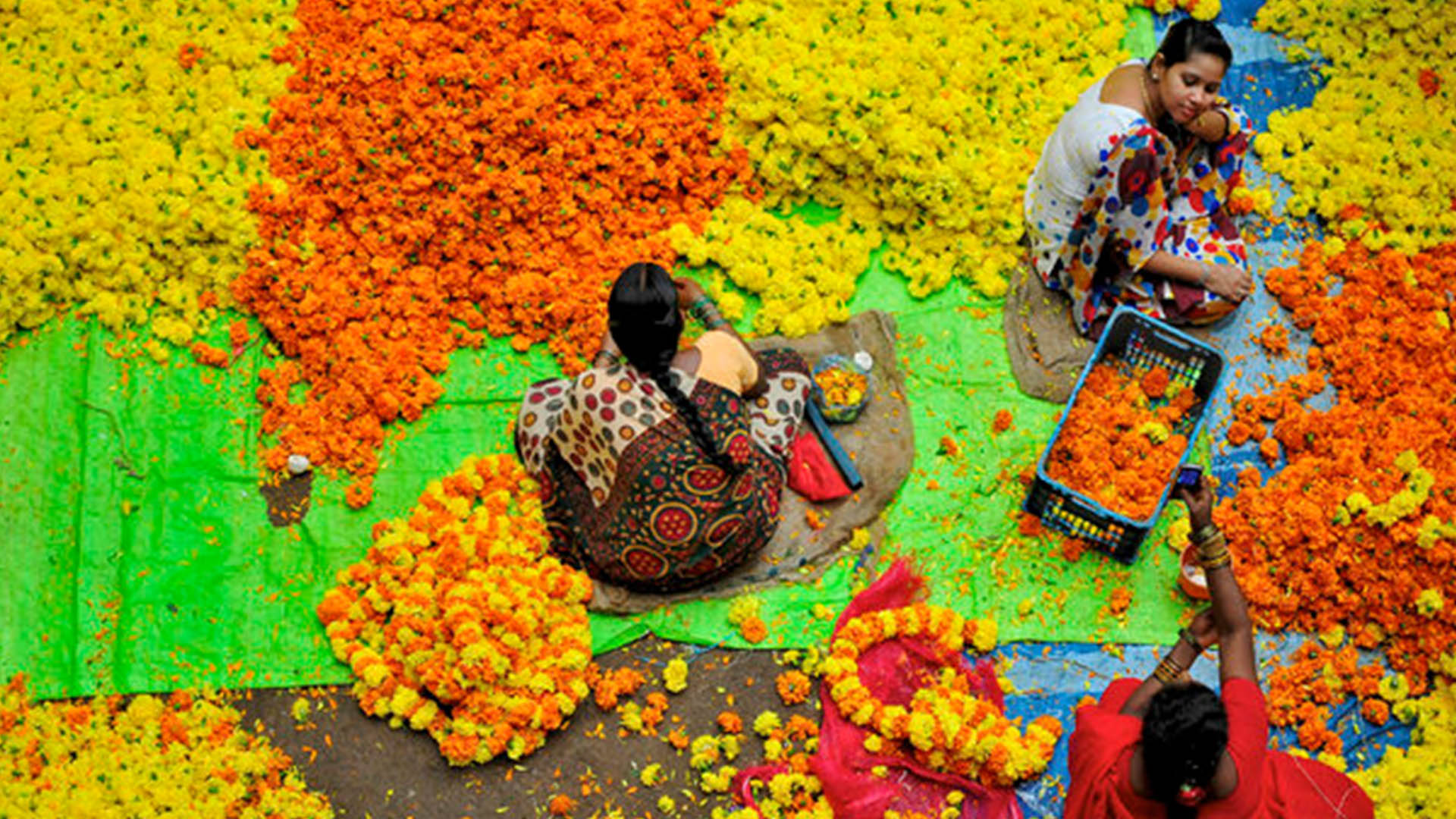 Flower trade worth Rs. 139.5 million during the festival