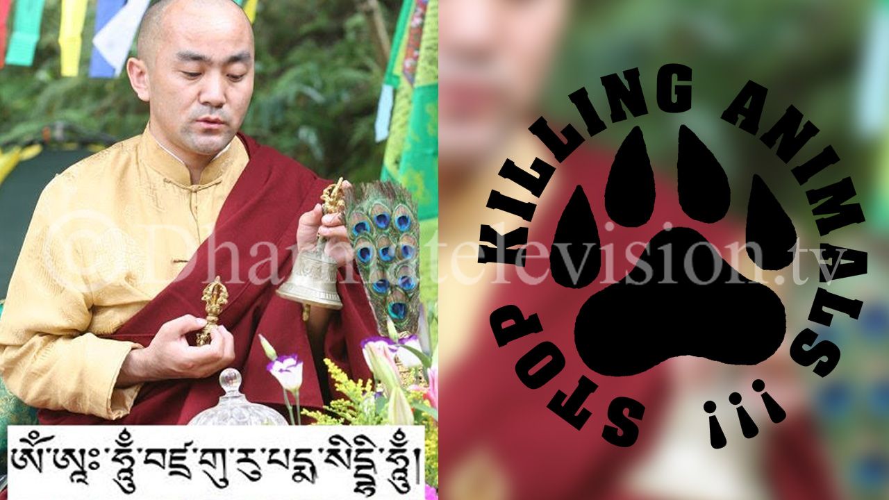 Animal killing in the name of gods and goddesses must end: Buddha Guru Dolpo