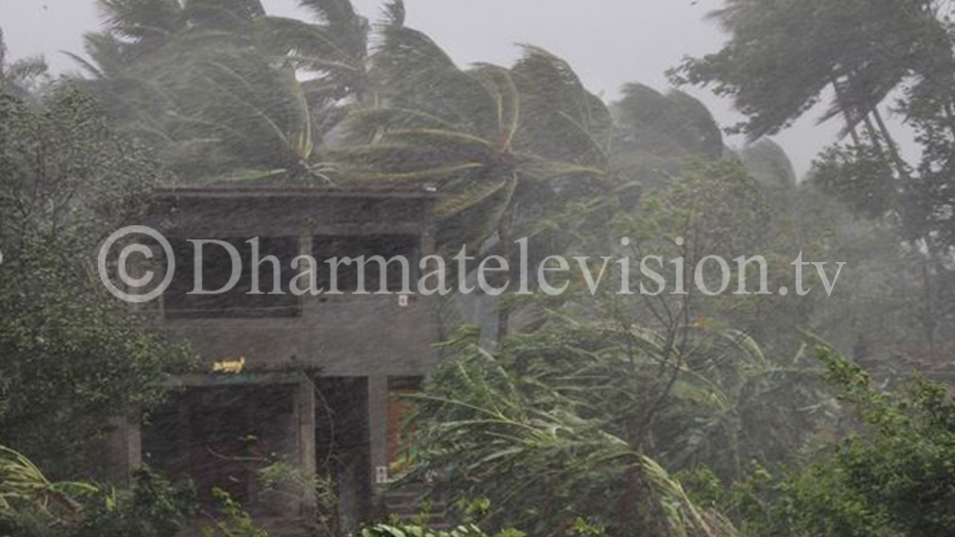 At least 82 in India and Bangladesh killed by Cyclone