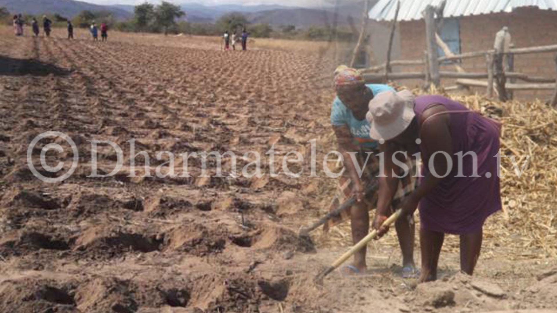 New farming concept offers Zimbabwean farmers higher yields