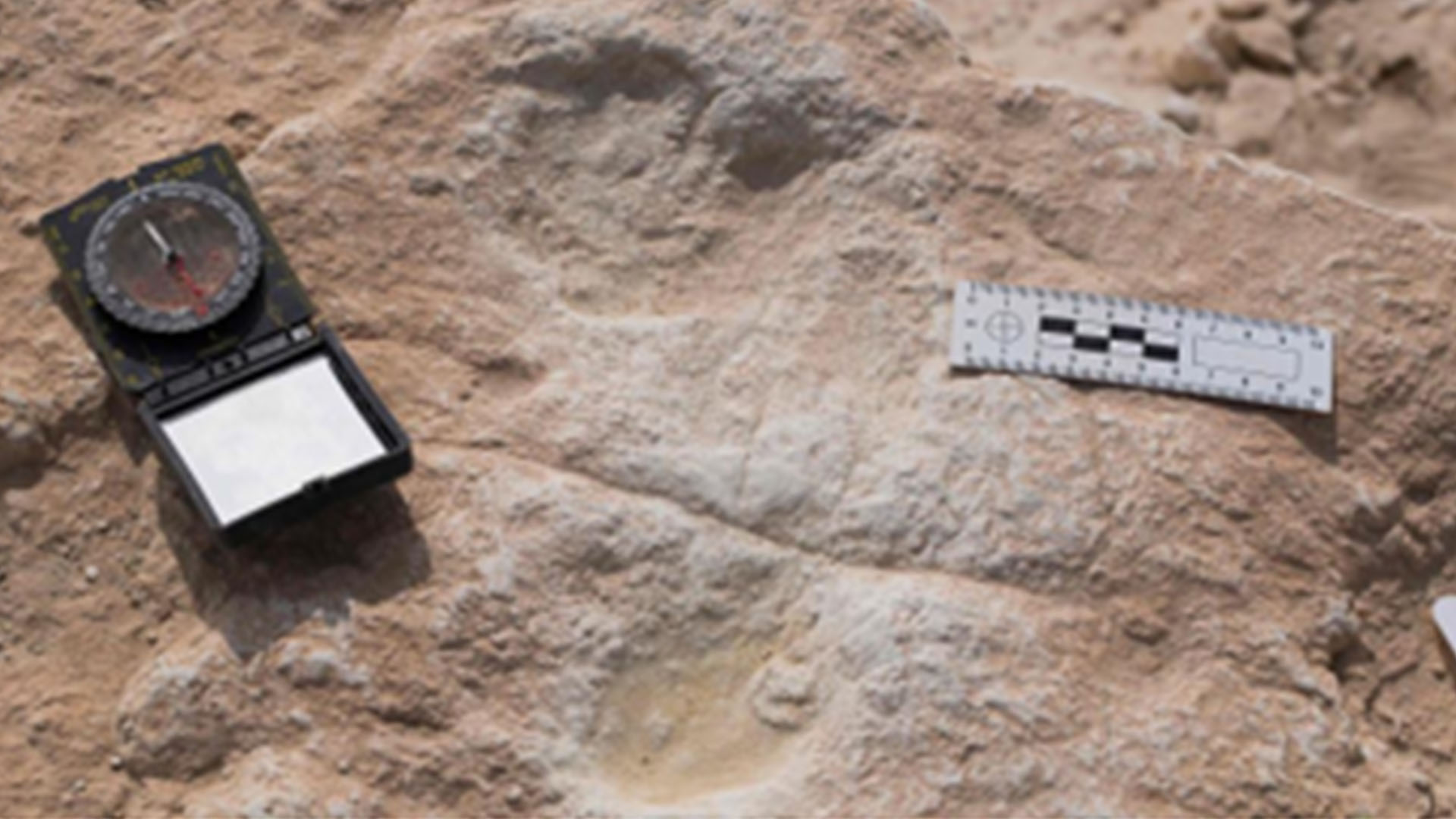 Human footprints up to 120,000 years ago found in Saudi Arabia